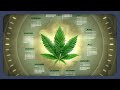 Wann wird Cannabis wirklich legal?