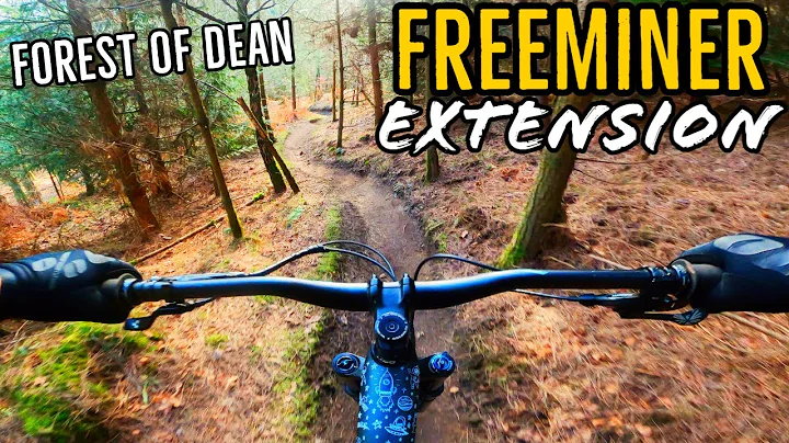 Freeminer Extension Trail- The Forest Of Dean