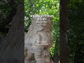 Exploring Kyoto Shrines in the Heat! ⛩️ | Japan weather update 2026