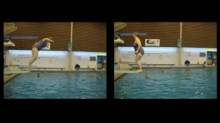 Seniors Diving Club