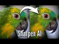 WOW!!! Sharpen AI is Getting BETTER & BETTER!