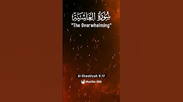 Surah Al-Ghashiyah (The Overwhelming) 9-17 : Arabic, Translation HD | سورة الغاشية