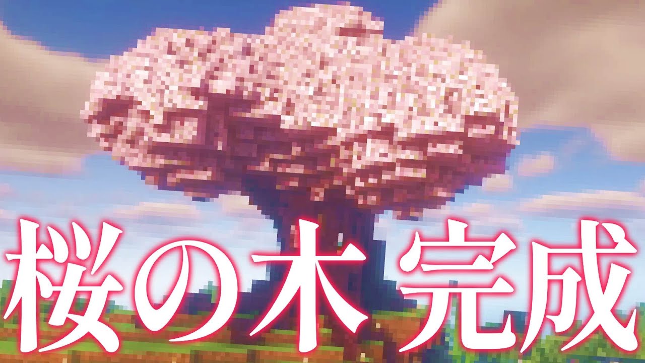 桜の木完成 #8【マインクラフト/参加型みゅぅ鯖マイクラ】 - YouTube