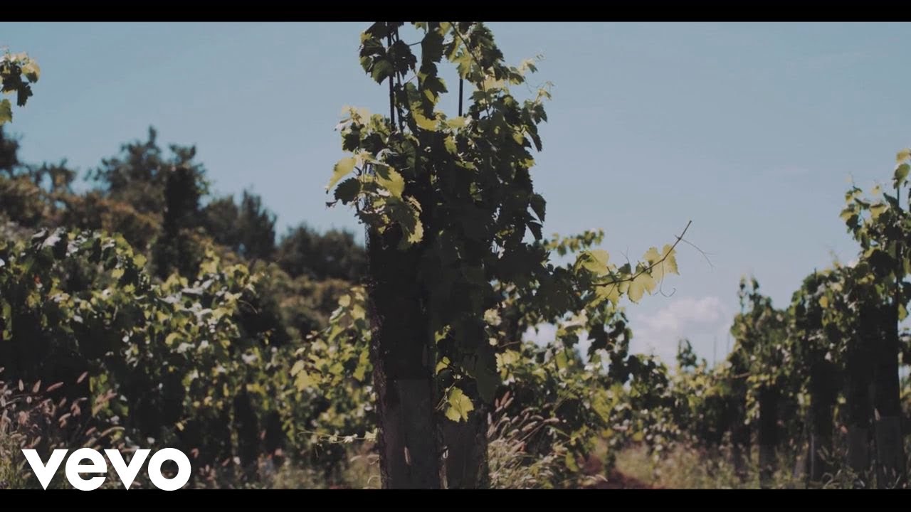 Dalibor Brun - Jedna Žena Plava