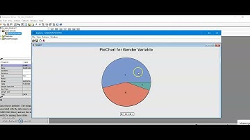 Pie Charts in SAS Enterprise Miner
