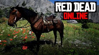 RDO Livestream 04/06/24