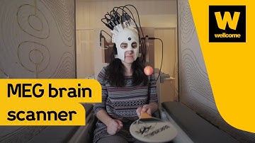 Designing a new brain scanner (MEG) | Wellcome