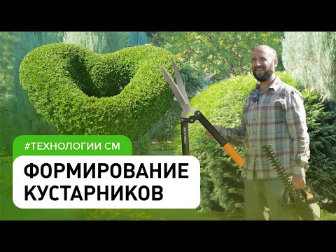 Видео: Как обрезать фонтанную траву - Когда обрезать фонтанную траву