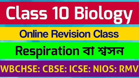 Class 10 Biology: Respiration: শ্বসন: Online Revision Class: WBBH SE: CBSE: ICSE: Madhyamik: life sc