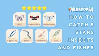 I Got 5stars Items   How To Get 5 Star Insects U0026 Fish In Heartopia Tutorial