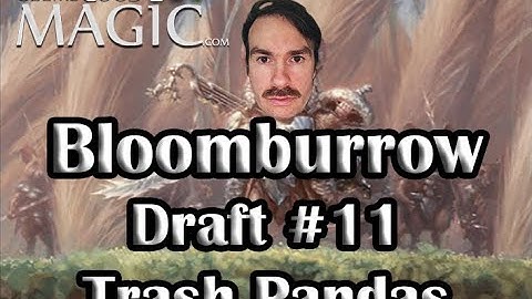 Bloomburrow Draft #11 | Trash Pandas