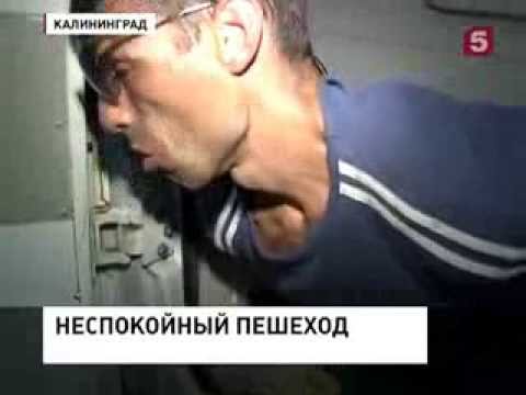 Видео: Что это за слова?