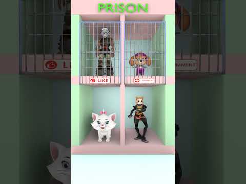 choice #shortsvideo #dog #cat