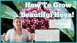 5 EASY Hoya Care Tips to Make Your Hoya Look Amazing!! Net Worth