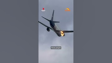 FedEx plane catches fire after bird strike | 7NEWS