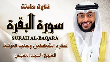 الشيخ احمد النفيس سورة البقرة  النسخة الأصلية  Surat al‑Baqarah Official Audio