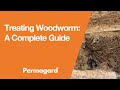 Treating woodworm a complete guide