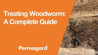 Treating Woodworm: A Complete Guide