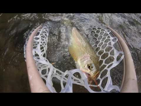 Fly Fishing the Tuckaseegee River