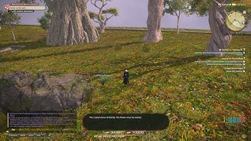 FFXIV Online Endwalker 6.0 Side Quest Familiar Vs  Familiar