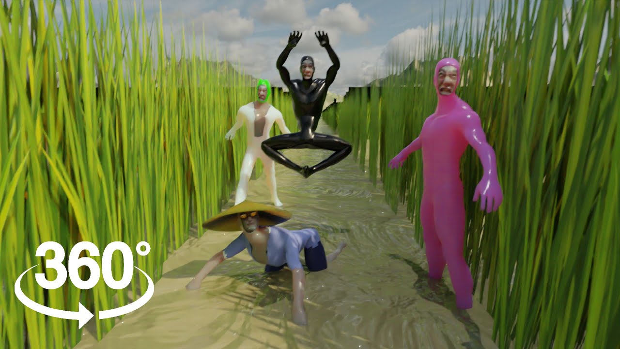 Lost in the Rice Fields in 360/VR - YouTube