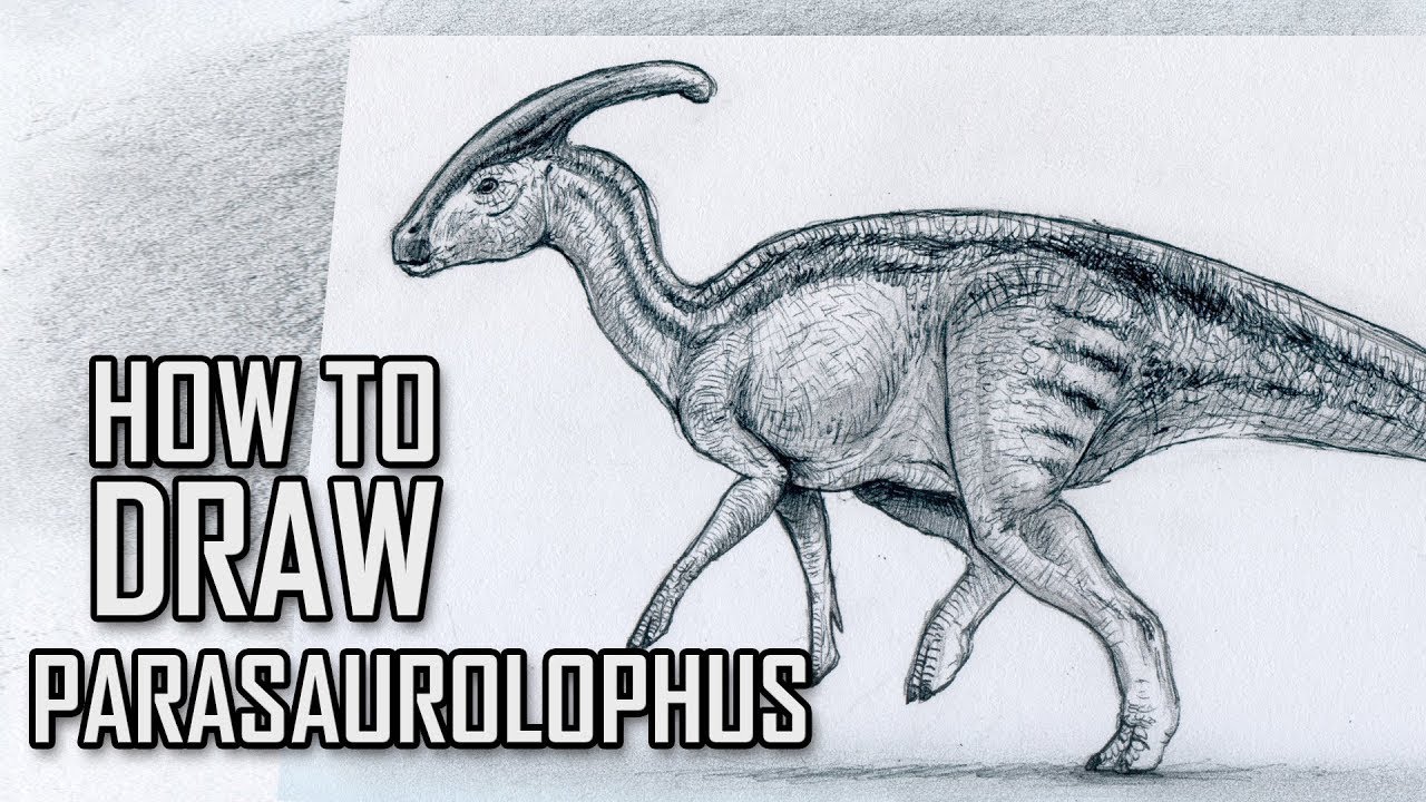 How To Draw a Parasaurolophus Jurassic Park and Jurassic World ...