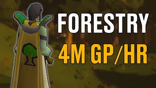 Forestry Is Very Profitable Right Now in OSRS
