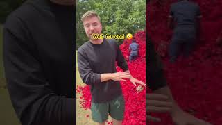 Find The Key And Win 10 Thousands Doller Mr Beast