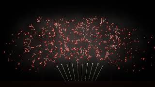 FWSIM HARMONY STAR FIREWORKS CONCOUR SIMULATION