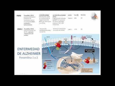 Vídeo: Avances En Biomarcadores De Proteínas A Base De Sangre Para La Enfermedad De Alzheimer