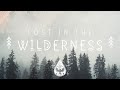 Lost in the wilderness   an indiefolkalternative playlist