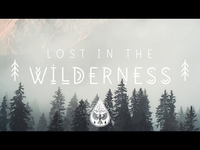 Lost In The Wilderness ↟ - An Indie/Folk/Alternative Playlist class=