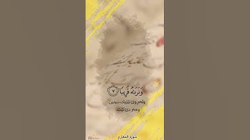 فاصبر صبراً جميلا_||📜 | سورة المعارج🎙️ | عبيدة موفق||_ستوريات انستا_حالات_واتس_اب