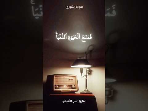 ارح سمعك وقلبك بالقرآن راحة نفسية وماأوتيتم من شيء فمتاع الحياة الدنيا أنس الأسدي اليمن