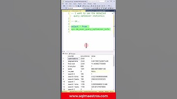 Detailed Query Optimizer Statistics