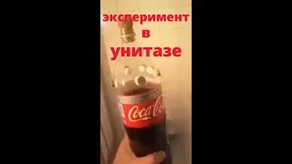 унитаз реакция на кока колу #shorts