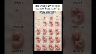 Baby ka growth week by week samjho, pregnancy me har stage ka development easy way 👶✨