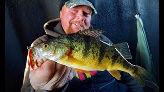 Jumbo Perch: Tactics, Locations & Underwater Strikes