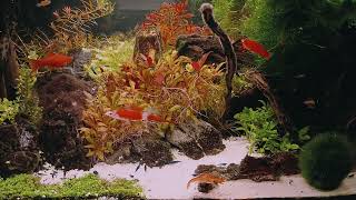 3 Hours Aquarium HD Like a Volcanic Eruption - with Watersounds & Relaxing Music 432 hz - NO LOOP!