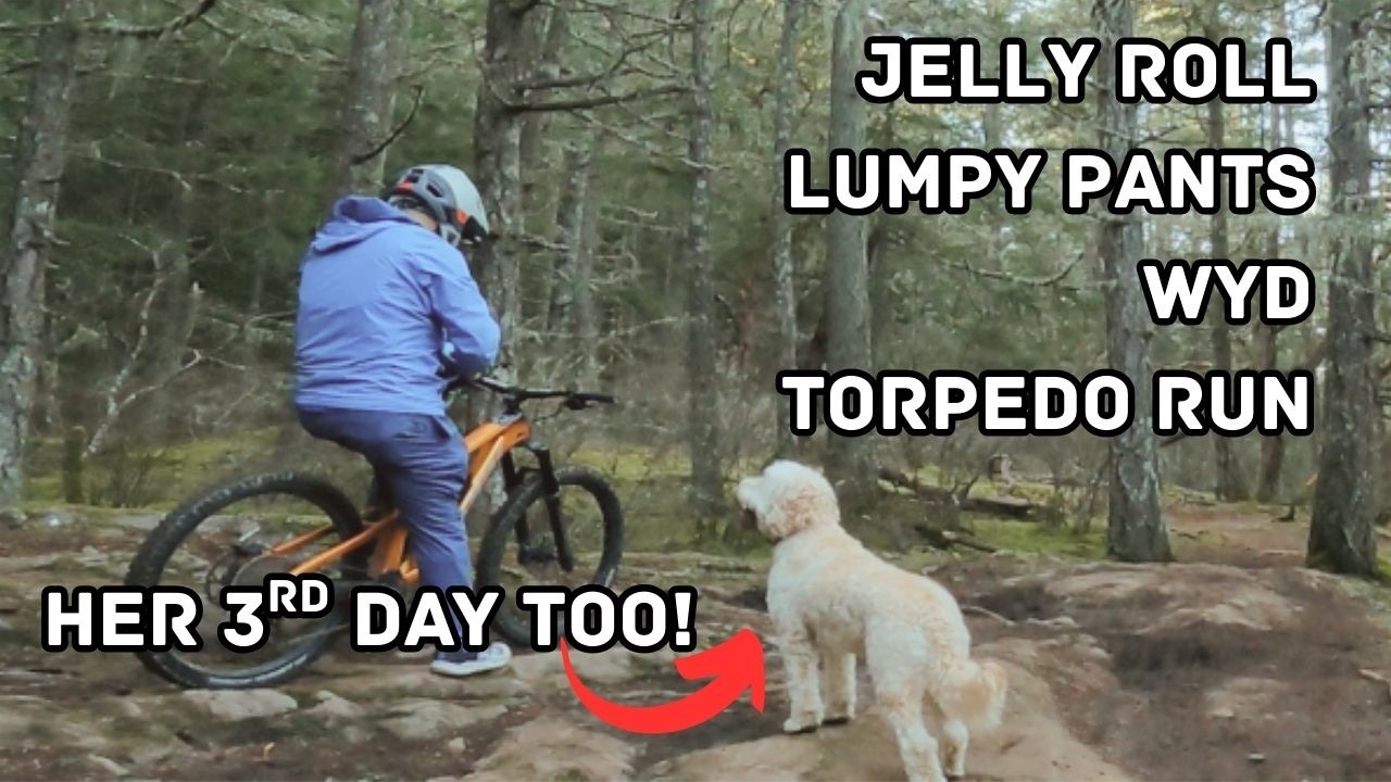 3 DAYS AT HARTLAND, 3rd DAY