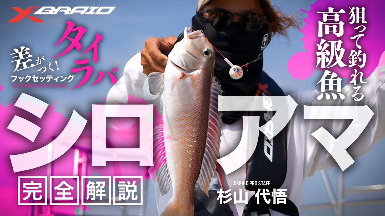 【差がつく！タイラバフックセッティング】シロアマ完全解説