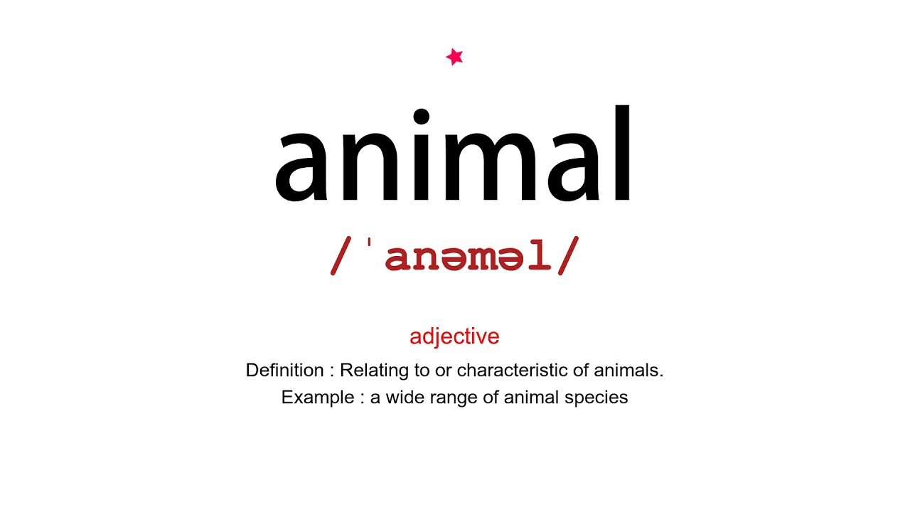 How to pronounce animal - Vocab Today