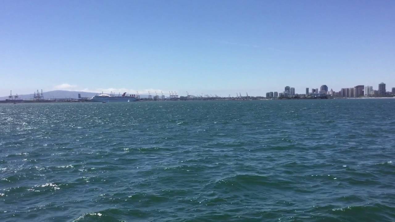 Long Beach Transit AquaLink 2 Of 3 7 4 2016 YouTube long-beach-transit-aqualink-2-of-3-7-4-2016-youtube