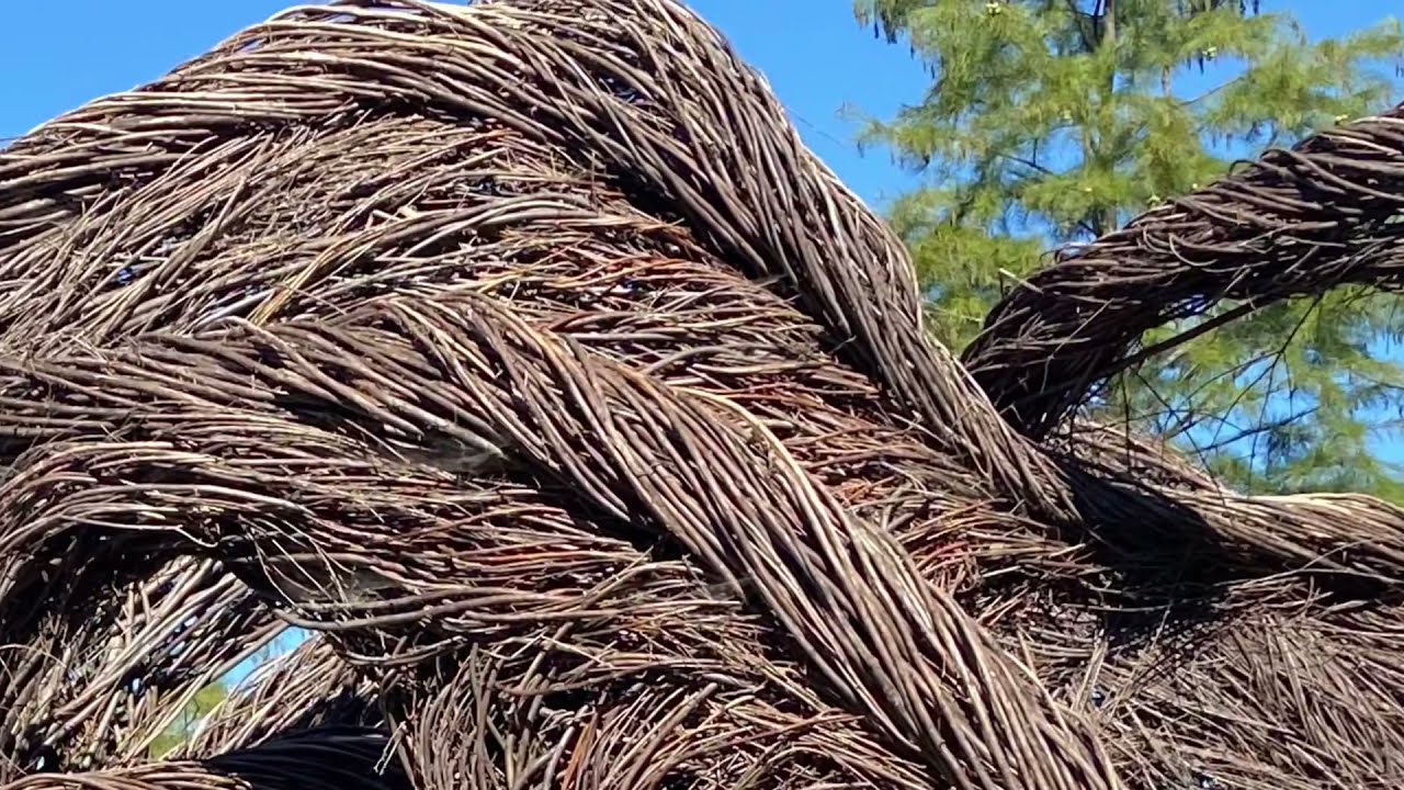 O Say Can You See twig sculpture