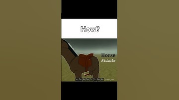 Why is bro attack me? | DEAD RAILS #meme #roblox #deadrails #memes