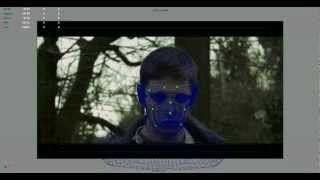 Face Tracking WF