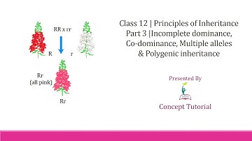 Incomplete dominance, Co dominance, Multiple Alleles | Principles of Inheritance Part 3 | Class 12