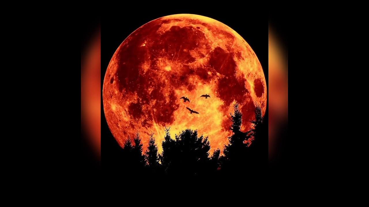 Красная Луна сатана. Красная Луна Майя. Дьявольская Луна. Красная Луна в лесу.