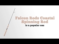 Falcon rods coastal spinning rod 1 0