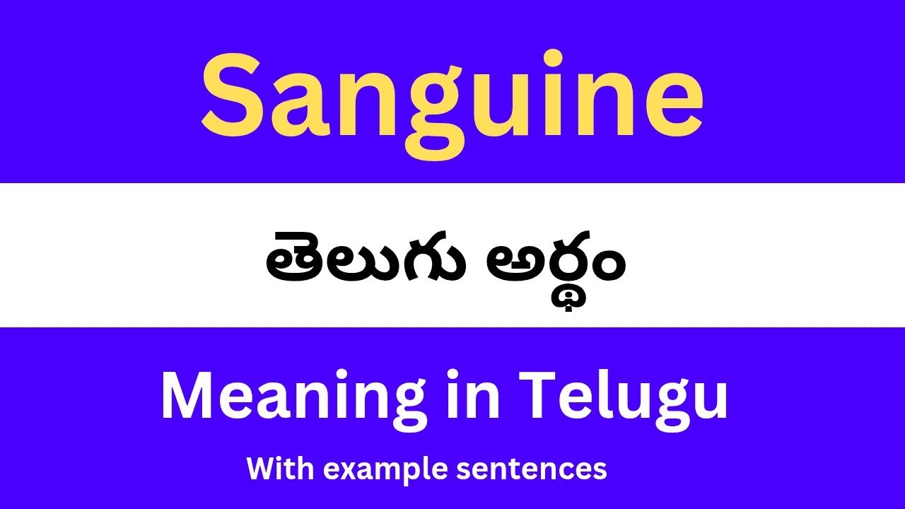 Sanguine meaning in telugu with examples | Sanguine తెలుగు లో అర్థం  @Meaning in Telugu